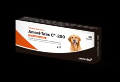Amoxi Tabs C250