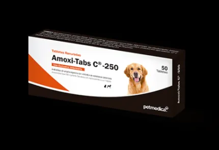 Amoxi Tabs C250