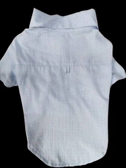 CAMISA CELESTE ALG. CON CORBATA