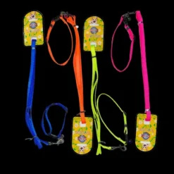 Collar con correa