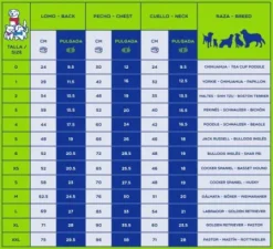 Disfraz Linterna Verde con antifaz