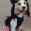 Disfraz Pirata
