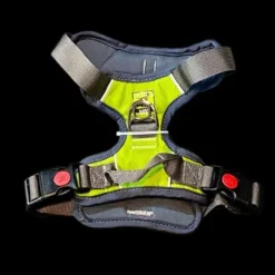 Pechera Comfortable Chest Padding